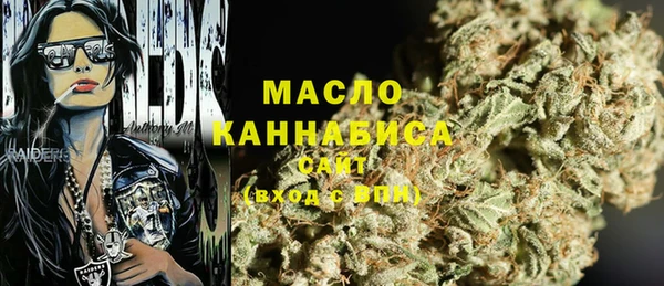 шишки Покачи