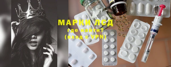 шишки Покачи