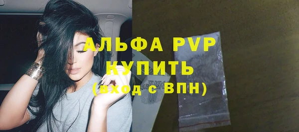 шишки Покачи