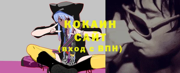 шишки Покачи