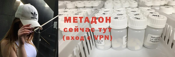 шишки Покачи