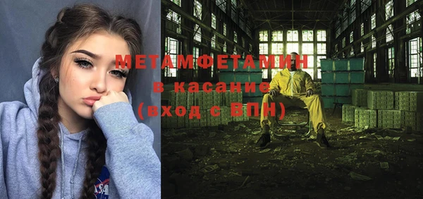 шишки Покачи