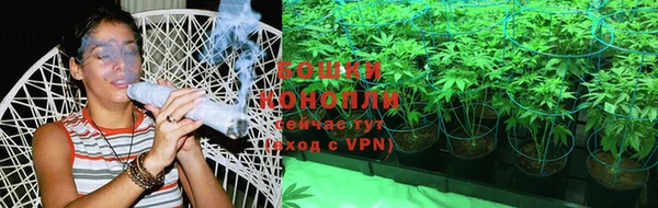 шишки Покачи