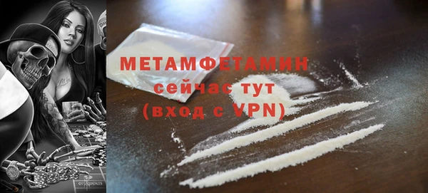 шишки Покачи
