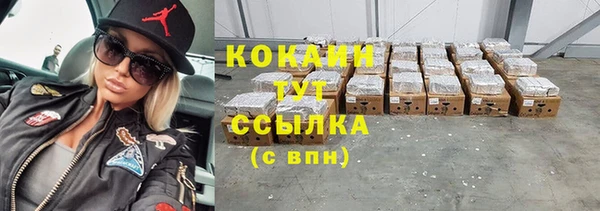 шишки Покачи