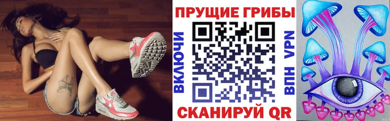 Псилоцибиновые грибы мицелий где найти кракен ONION Североуральск