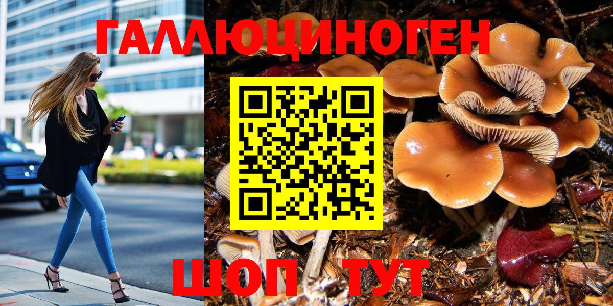 Псилоцибиновые грибы GOLDEN TEACHER Североуральск