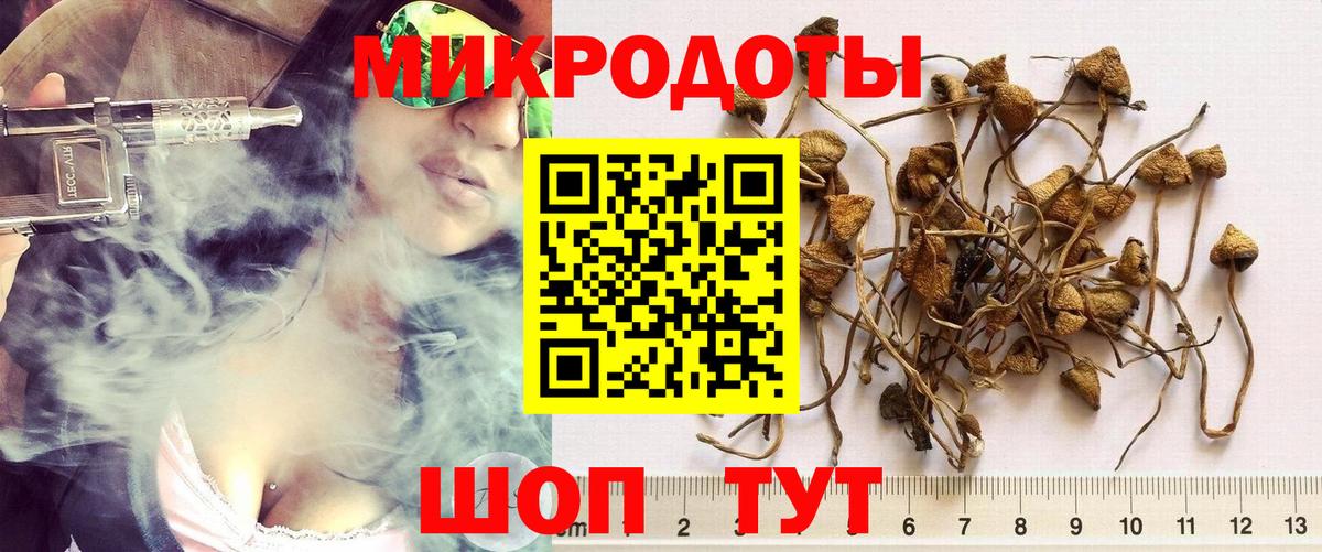Североуральск  хочу   Вход с VPN  Галлюциногенные грибы MAGIC MUSHROOMS 